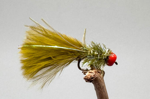 Ally McCoist Olive Mini x 3  (Barbed)