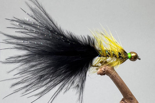 Gold Head Black Dancers x 3  (Barbed)