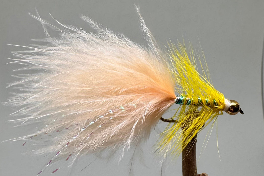 Gold Head Peach Tail Dancer x 3  (Barbed)