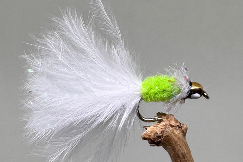 Gold Head Taddy Cat x 3  (Barbed)