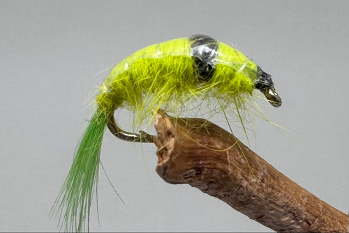 Midweight Scud Chartreuse x 3 (Barbed)