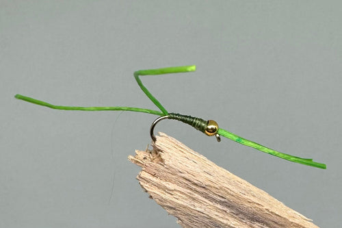 Gold head olive apps bloodworm x 3