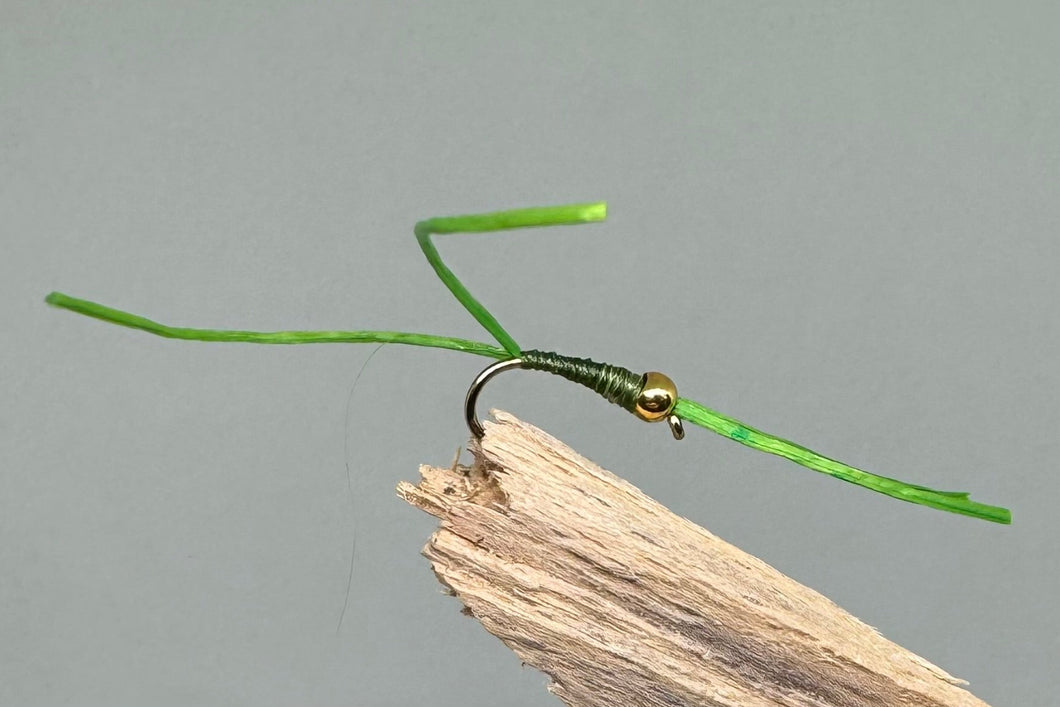 Gold head olive apps bloodworm x 3