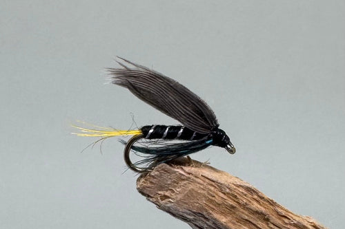 Connemara Black x 3   (Barbed or Barbless)