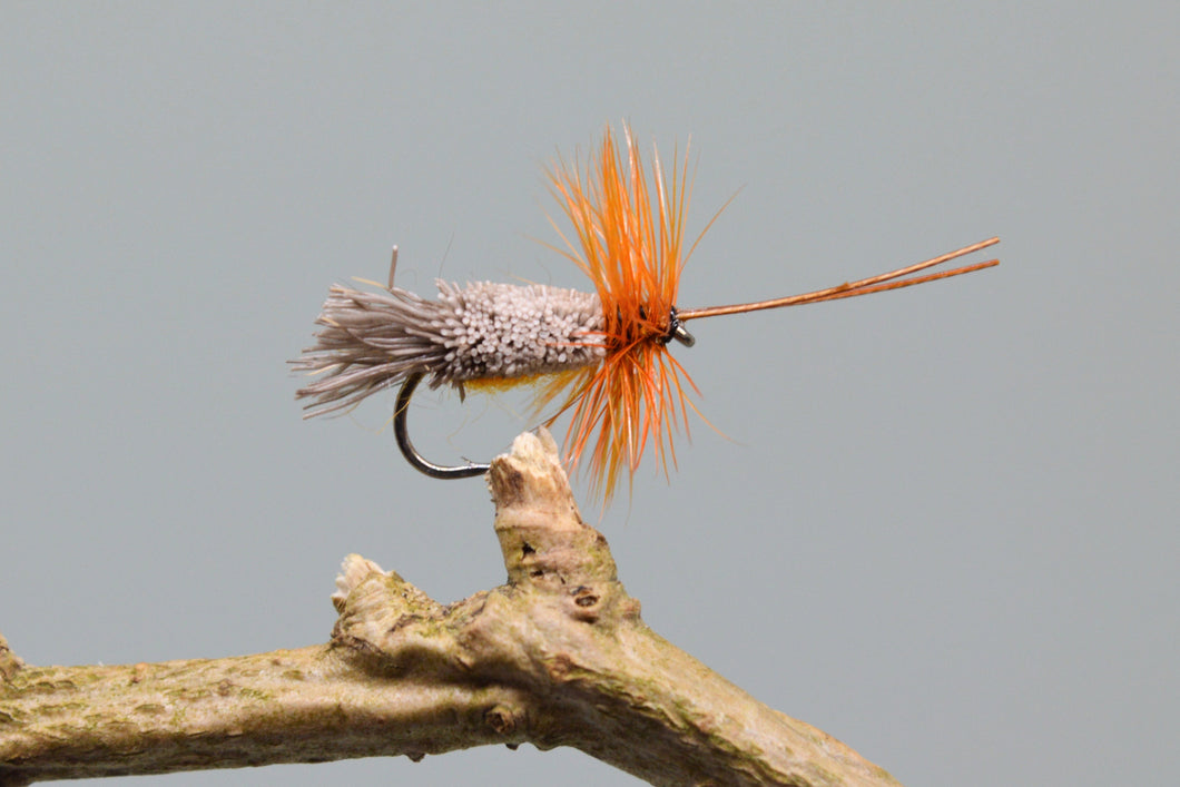 Orange G & H Sedges x 3  (Barbed)