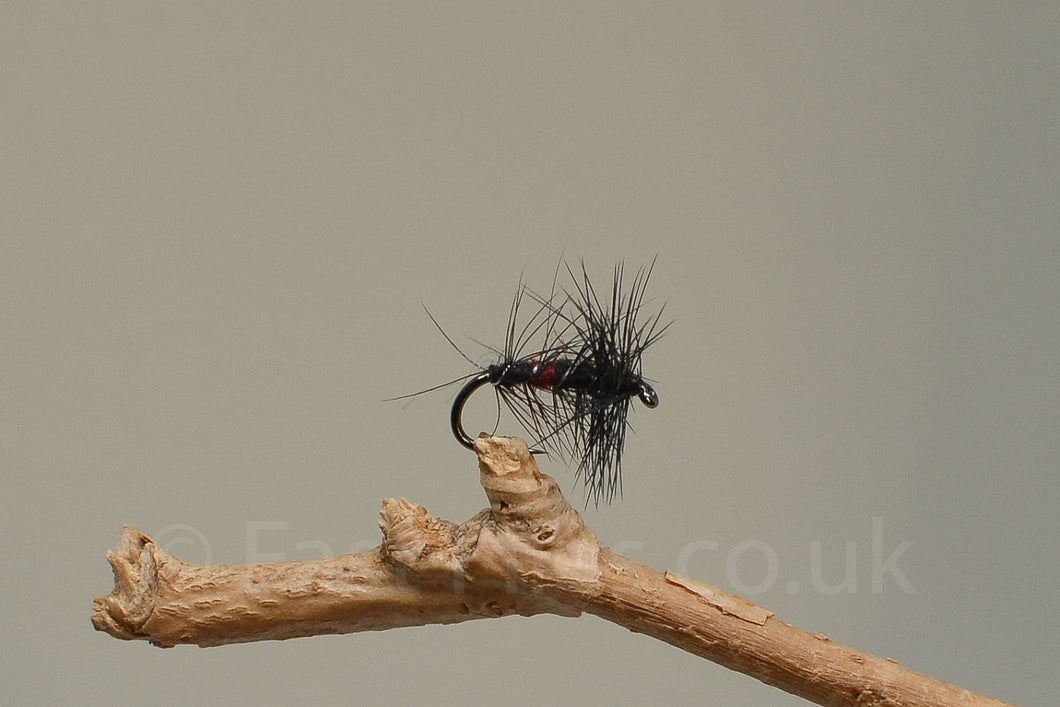 Bibio / dry x 3  (Barbless)