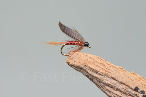 Red Spinner x 3  (Barbed)