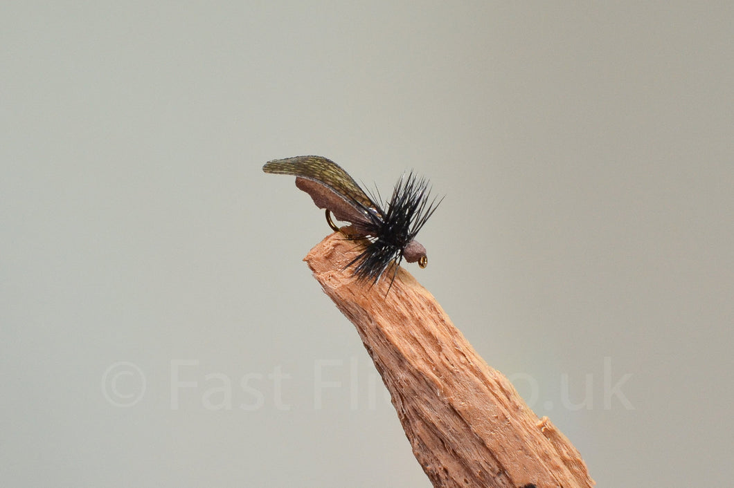 Little Black Stone Fly