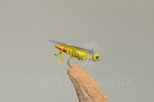 Flying Hopper Red Butt