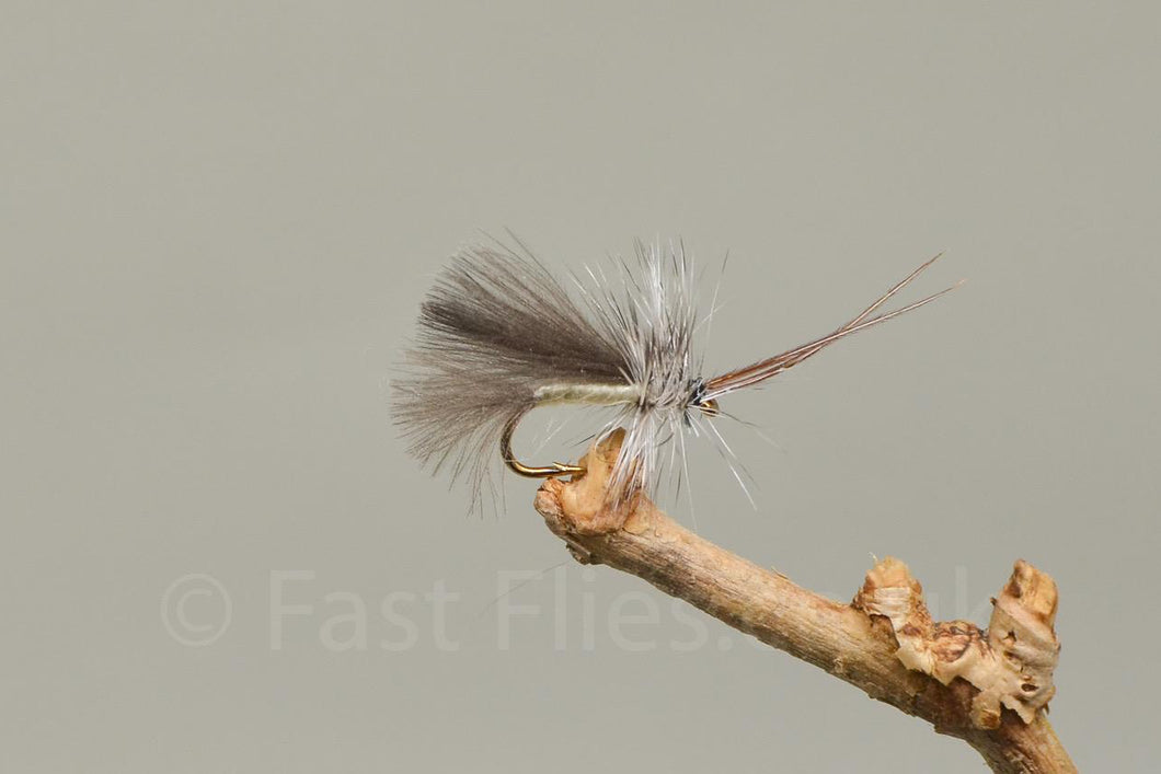 CDC High Rider Cream x 3  (Barbed)