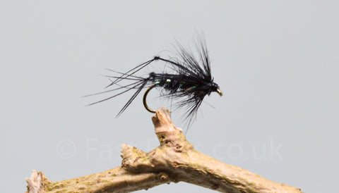 Black Bristol Hoppers x 3 - Fast Flies top trout flies