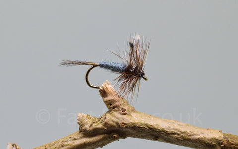 Adams x 3 - Fast Flies top trout flies