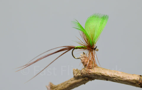 Green Drake May Flies - Fast Flies top trout flies