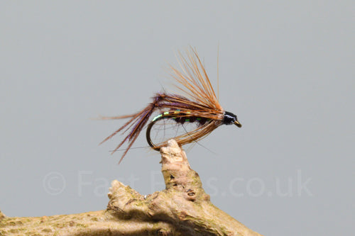 Claret Bristol Hoppers x 3 - Fast Flies top trout flies