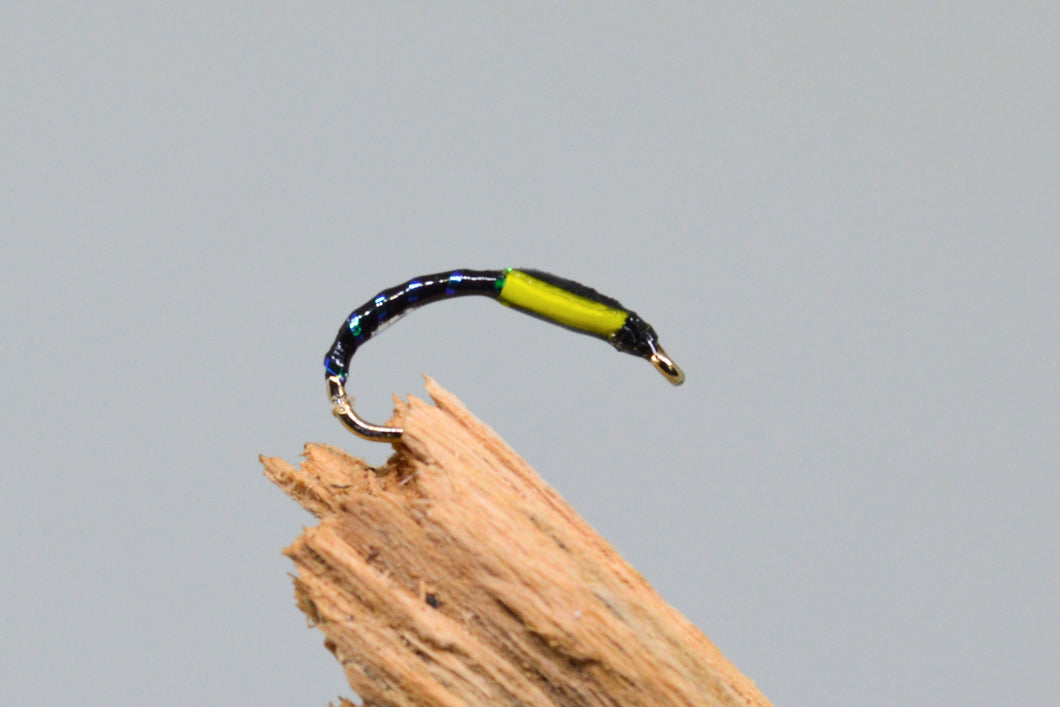 Sunburst Cheeks Buzzer x 3  (Barbless)