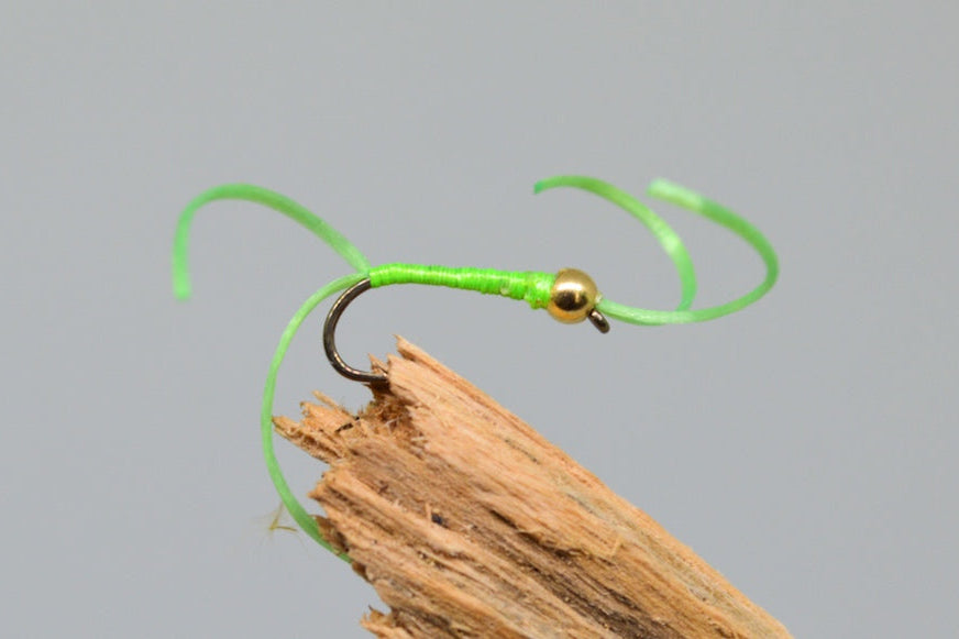Gold Head Lime Flexi Floss Bloodworm x 3 - Fast Flies top trout flies