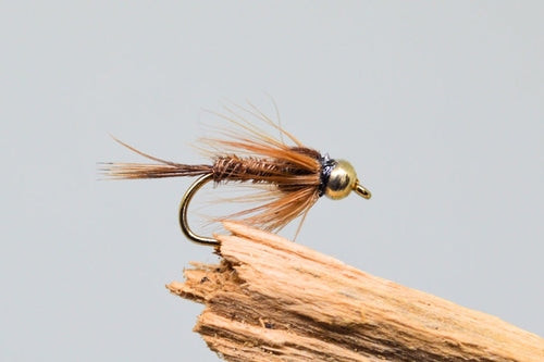 Gold Head Pheasant Tail x 3 - Fast Flies top trout flies