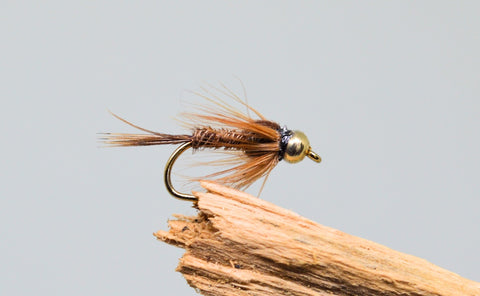 Gold Head Pheasant Tail x 3 - Fast Flies top trout flies