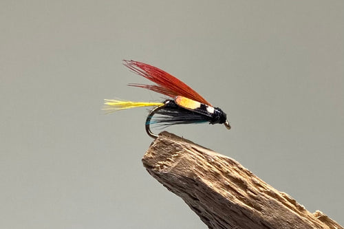 Connemara Black with jungle cock x 3  (Barbed)