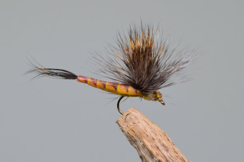 Elk Wing May Fly Brown - Fast Flies top trout flies