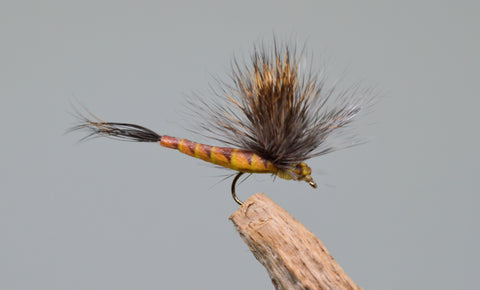 Elk Wing May Fly Brown - Fast Flies top trout flies