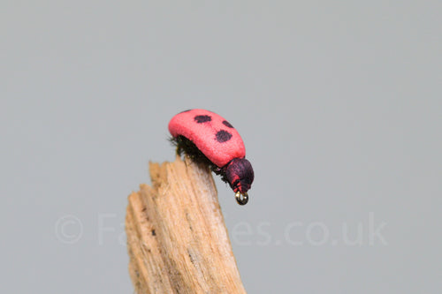 Ladybird - Fast Flies top trout flies