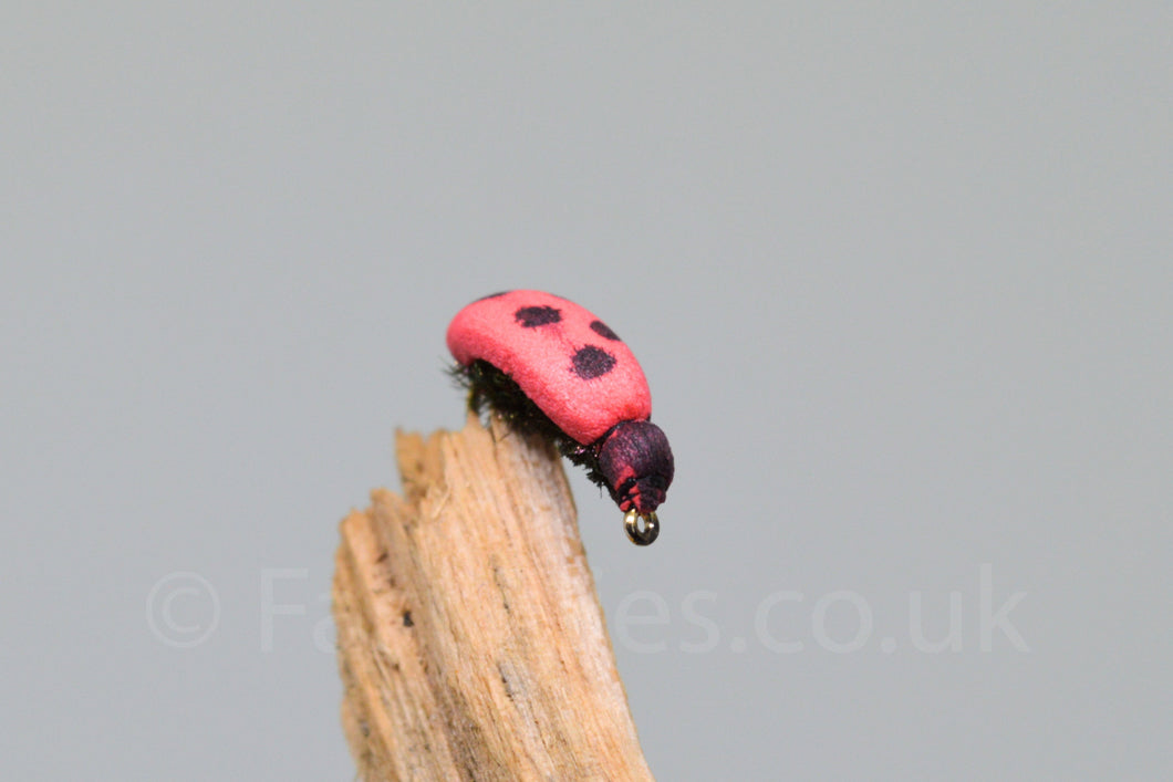 Ladybird - Fast Flies top trout flies