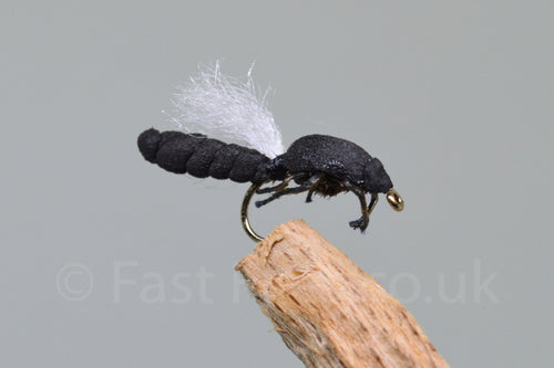 Hawthorn - Fast Flies top trout flies