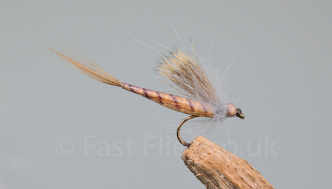 Elk Wing May Fly Yellow - Fast Flies top trout flies