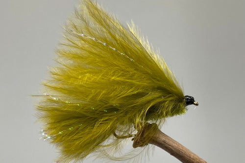 Olive Cats Whisker x 3  (Barbed)