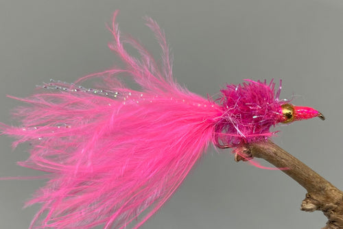 Pink nomad pink nose x 3  (Barbed)