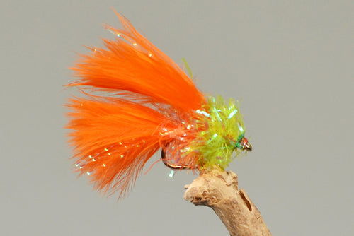 Orange Cat x 3  (Barbed)