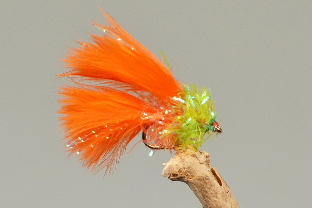 Orange Cat x 3  (Barbed)