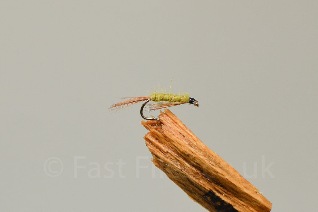 Olive Hares Ear Diawl Bachs x 3