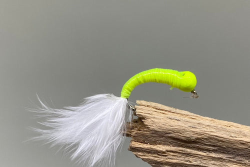Fluorescent Yellow Cat Bug Tungsten Buzzer x 3   (Barbed or Barbless)