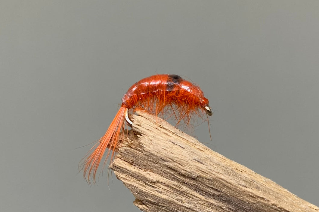 Midweight Scud Orange x 3