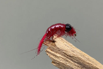 Midweight Scud Red x 3