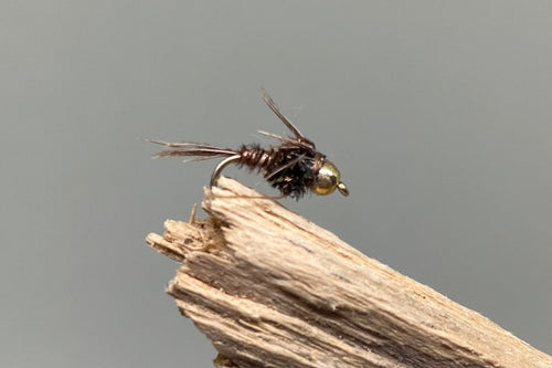 Tungsten Pheasant Tail x 3 (Barbed)