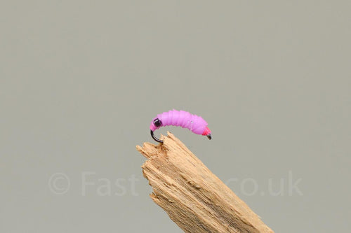 Pink Latex Maggi x 3   (Barbed or Barbless)