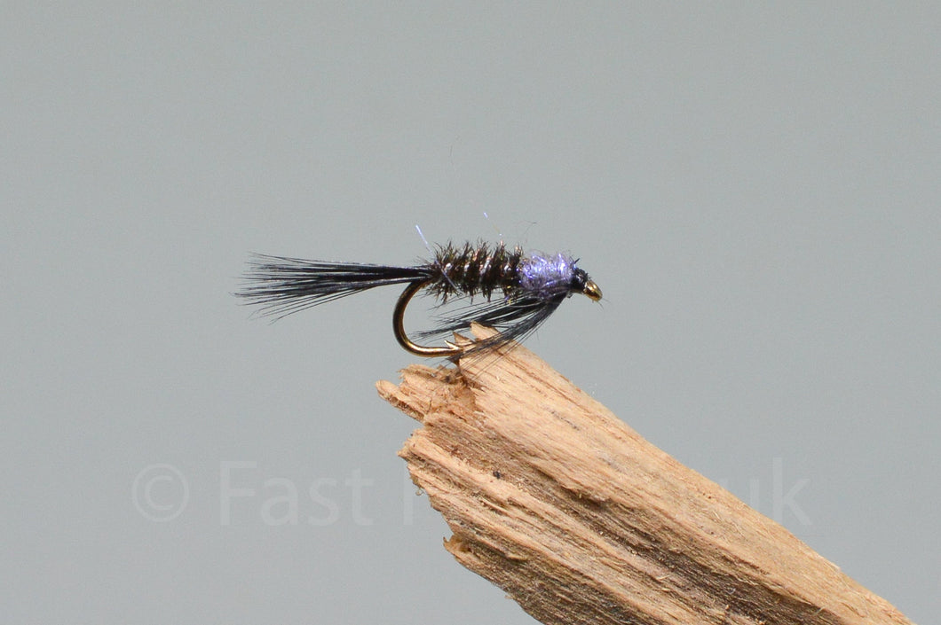 Diawl Bach UV Black & Purple x 3 