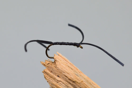 Black apps bloodworm x 3