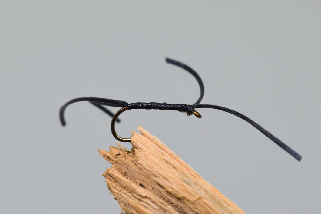 Black apps bloodworm x 3