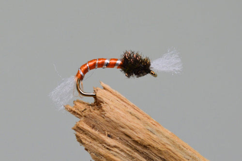 Orange Buzzers x 3 - Fast Flies top trout flies