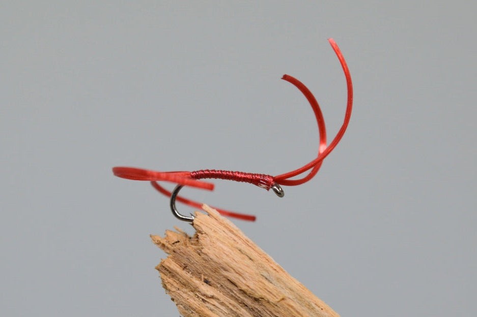 Red apps bloodworm x 3   (