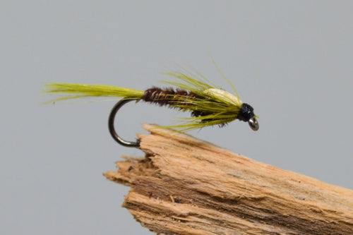 Sunburst Cruncher x 3