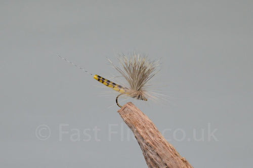 Elk Wing May Fly Olive - Fast Flies top trout flies