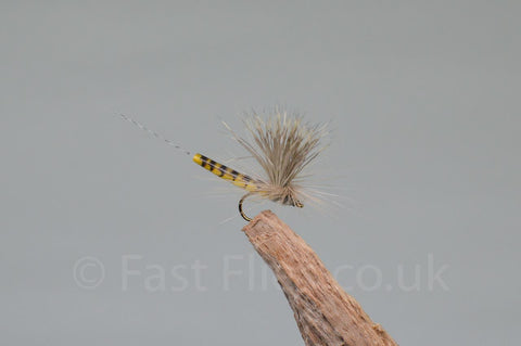 Elk Wing May Fly Olive - Fast Flies top trout flies