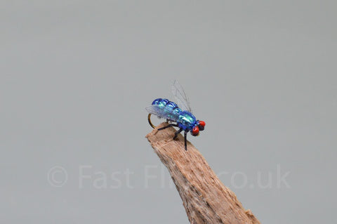 Blue Fly - Fast Flies top trout flies