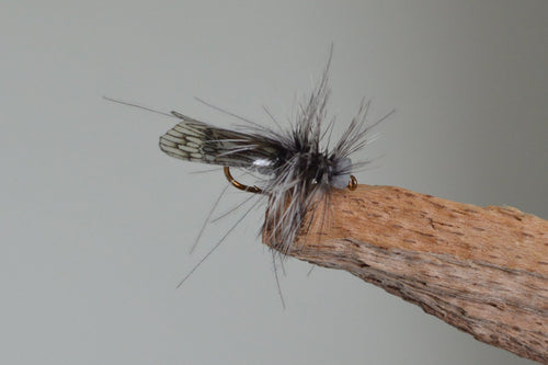 Grey Caddis CDC