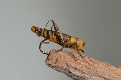 True Hopper Yellow/Brown